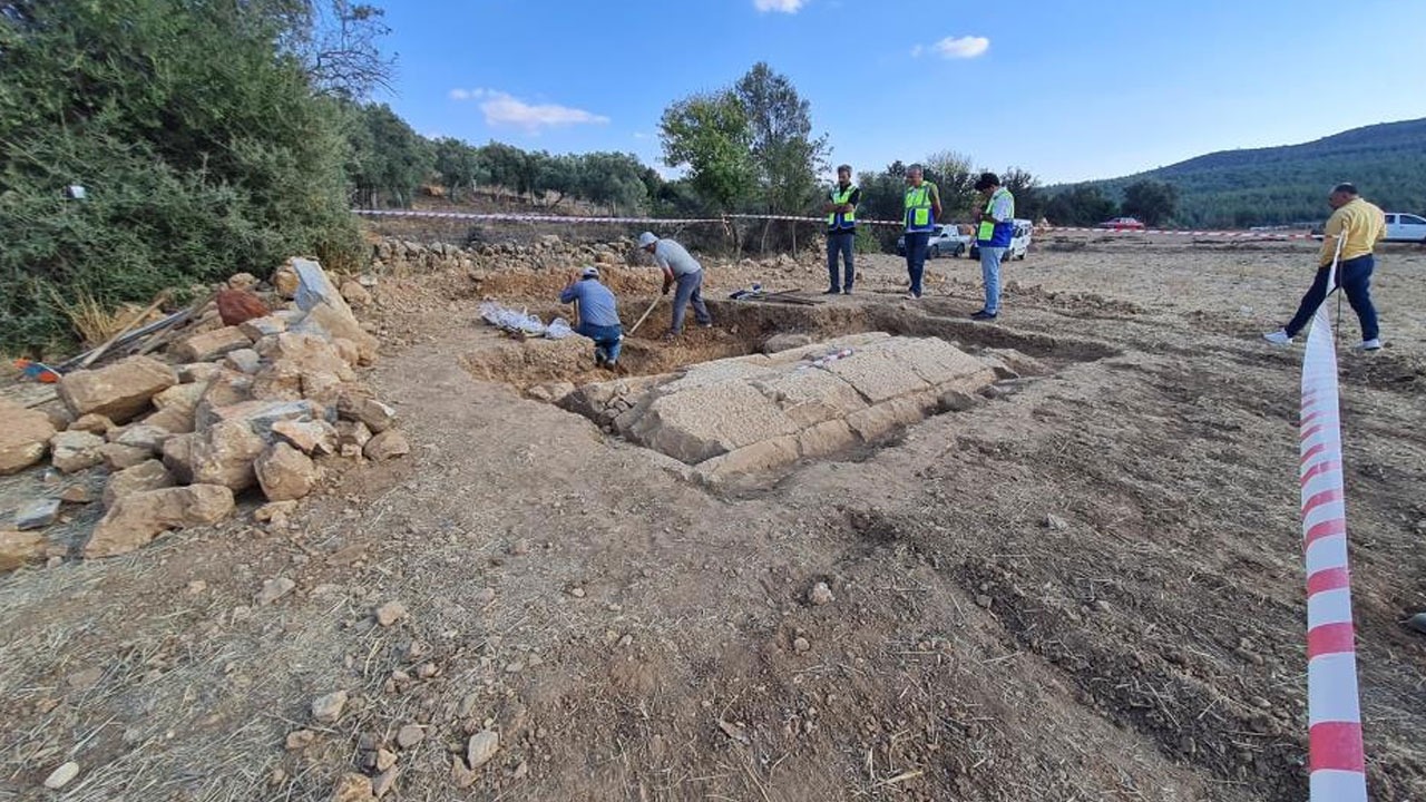 Tarlasında yürürken fark etti: Etrafını temizleyince gördüklerine inanamadı